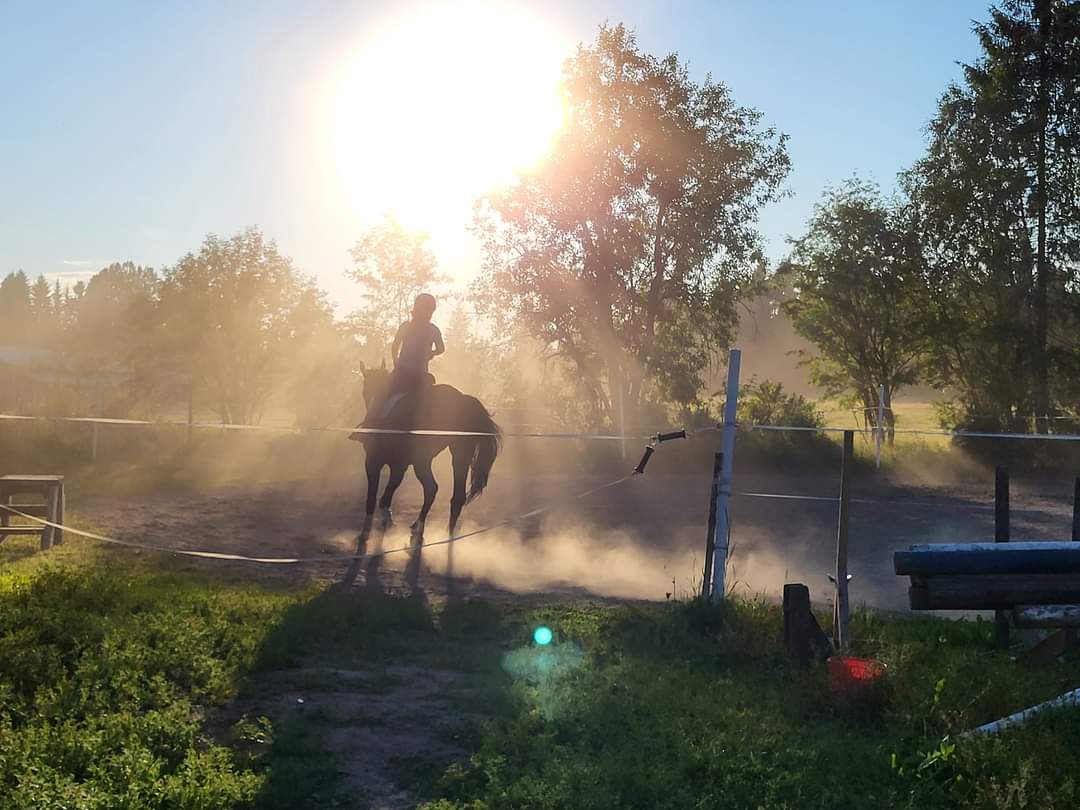Ihminen ja hevonen
